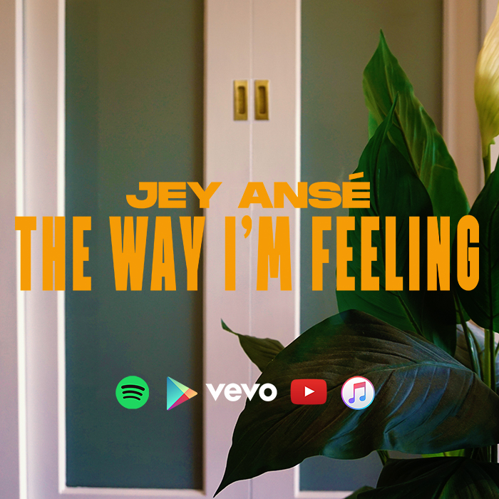 Jey Anse The Way Im Feeling cover art 700x700 platforms